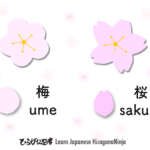 diffs-sakura-ume