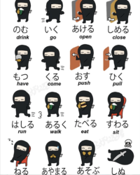 Japanese verb