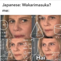 Nihongo Wakarimasuka?